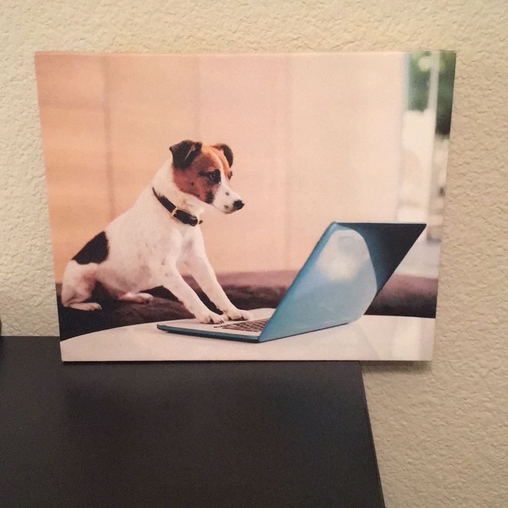 14x11 Print